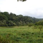 Scenic view of a national park near Pune, showcasing greenery and wildlife.