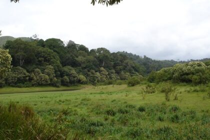 Scenic view of a national park near Pune, showcasing greenery and wildlife.