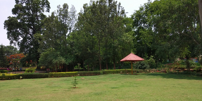 A beautiful image of Nature Park, one of the top places to visit in Yelagiri.
