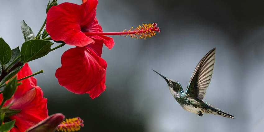 The place offers a perfect opportunity for nature photography with its scenic landscape.