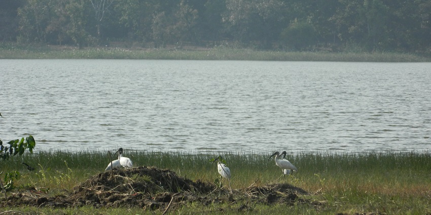 The wild waters of Navegaon Lake explored during Night safari in Tadoba.