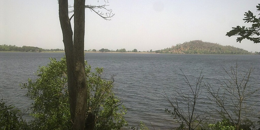 A scenic view of Navegaon Bandh National Park featuring greenery and tranquil water.