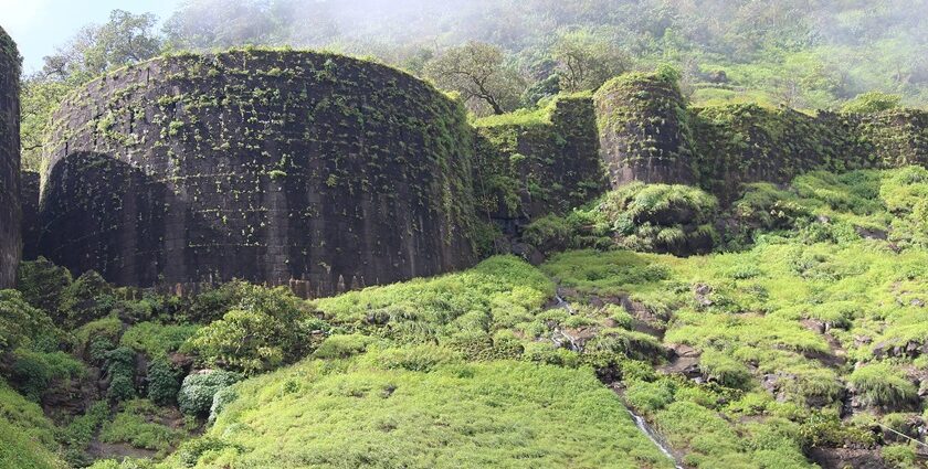 Scenic view of Navra Navri Cha Dongar hill with lush greenery and clear skies.