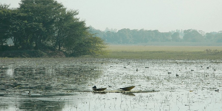 Nawabganj Bird Sanctuary, is just a short trip from Jungle Water Park, Kanpur.