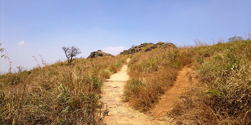 A picture of the Needle Rock valleys, one of the scenic places to visit in Gudalur.