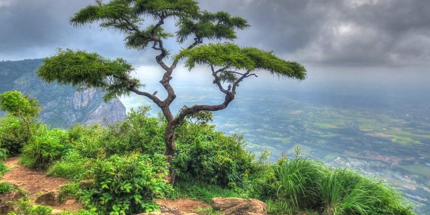 The lush green hills of Nelliyampathy surrounded by mist and clouds