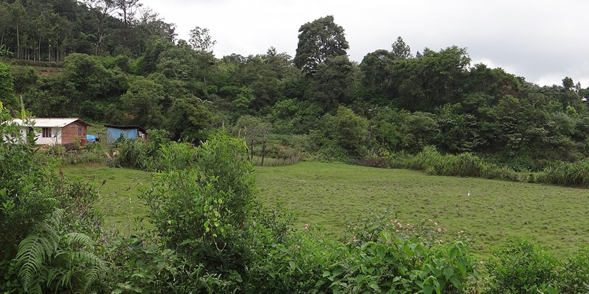 An image of a village surrounded by lush greenery similar to Neraluru near Hosur