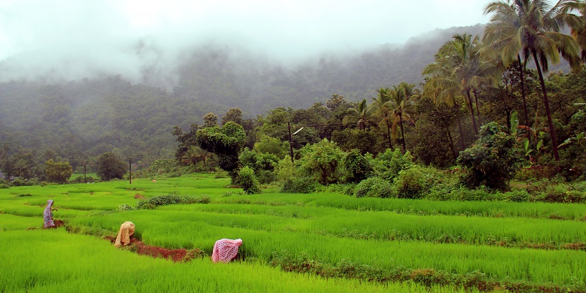 Netravali Wildlife Sanctuary is one of the most amazing places around rivona caves.