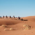 A group riding camels during a scenic sunset for a night safari in Jaisalmer, Rajasthan. Viewers of this file can see comments and suggestions