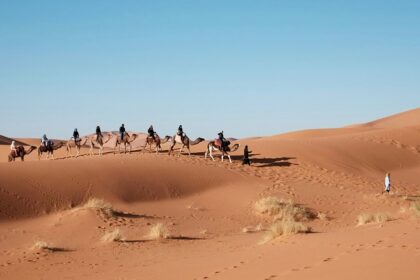 A group riding camels during a scenic sunset for a night safari in Jaisalmer, Rajasthan. Viewers of this file can see comments and suggestions