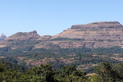 Scenic view of the fort showcasing its architectural grandeur against the blue sky