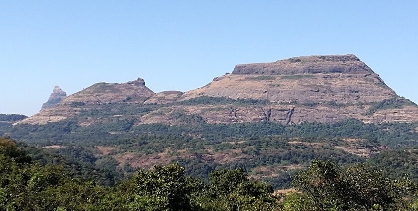 Scenic view of the fort showcasing its architectural grandeur against the blue sky