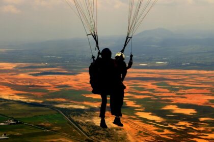 Silhouette of tandem paragliders flying above green and glowing horizon during sunset