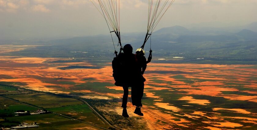 Silhouette of tandem paragliders flying above green and glowing horizon during sunset