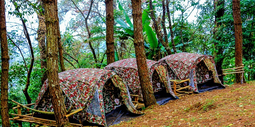 Three tents are placed side by side to each other on an elevated level amidst the forest