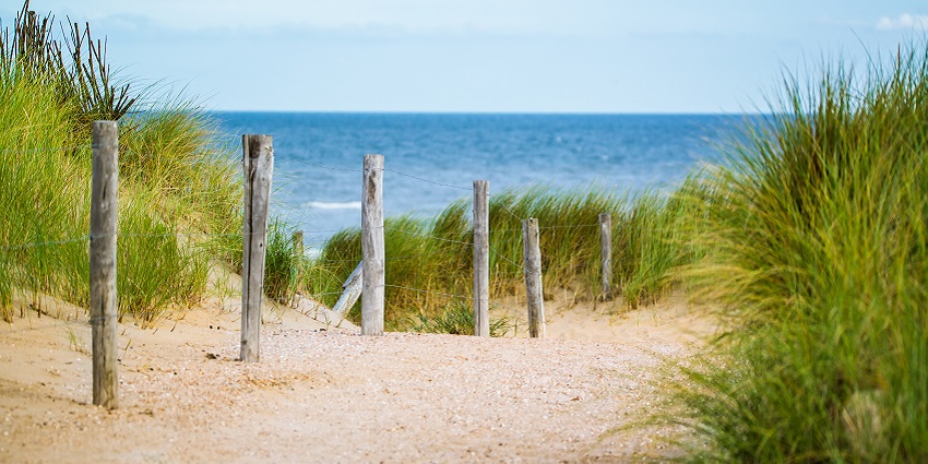 Nivati, one of the best beaches in Malvan, is known to offer a perfect peaceful retreat.