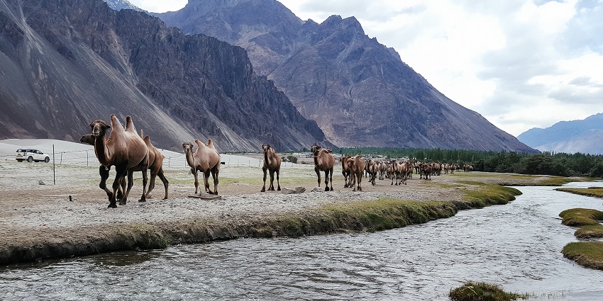 Stunning view of Nubra Valley, showcasing the nearby Panamik hot spring area.