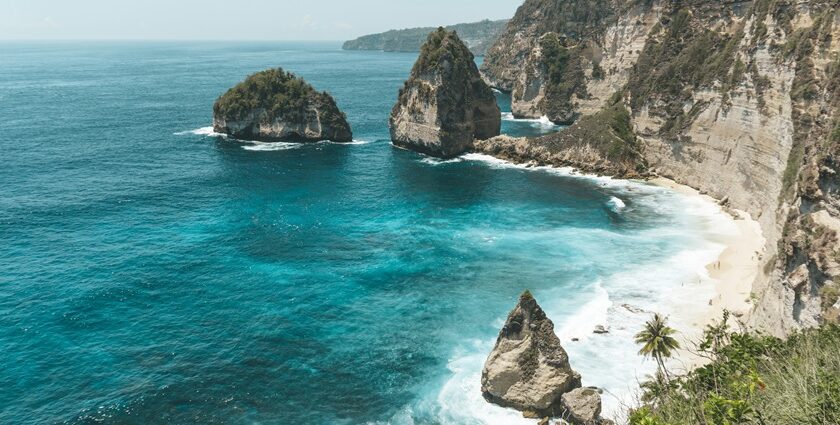 An image of Nusa Penida Island's scenic landscapes and marine life