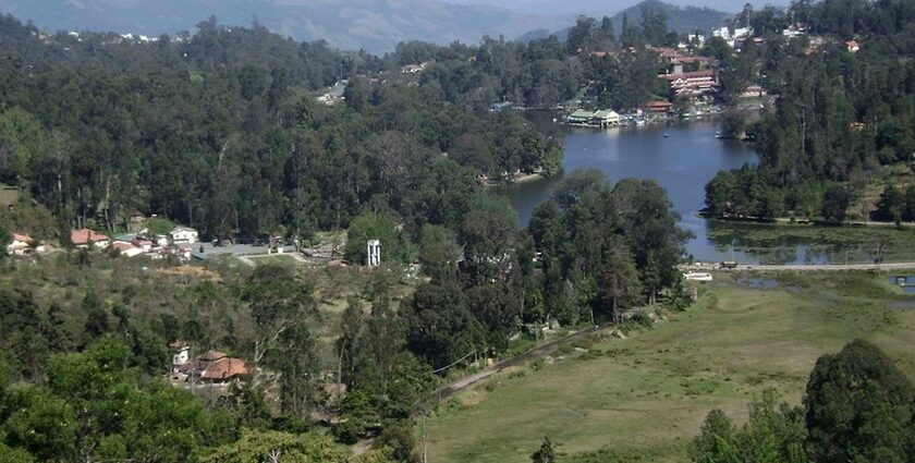 View of Kodaikanal Lake surrounded by hills and trees in Kodaikanal.