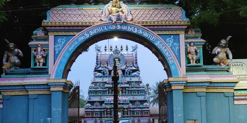 A view of the famous Kasi Viswanathar Temple adorned with vibrant hues and designs.