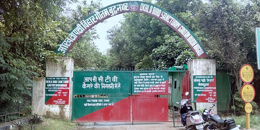 Image of the entrance gate to Okhla Bird Sanctuary with a green and red gate and signage.