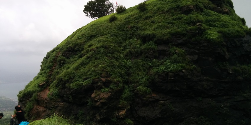 One Tree Hill Point: solitary tree with breathtaking panoramic views.