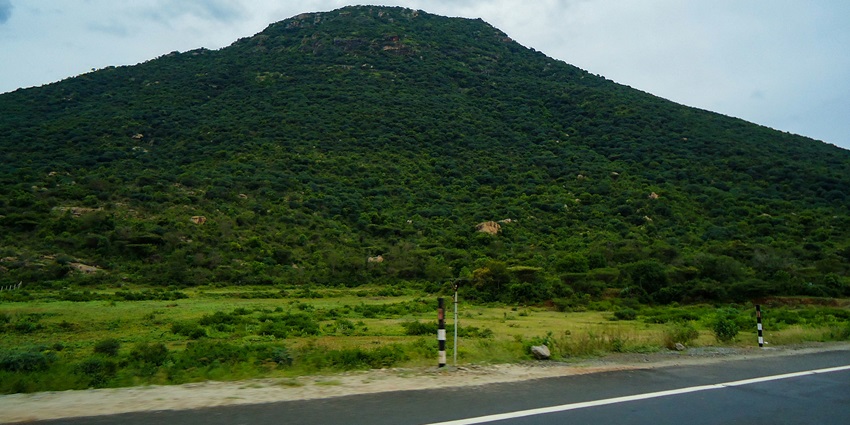 A breathtaking view of the lush Oothu Hills, one of the top hill stations near Tenkasi.