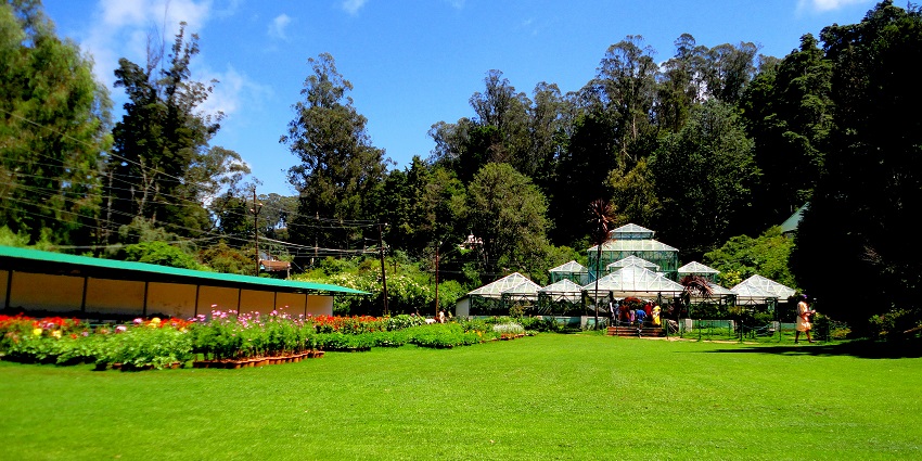 Ooty, one of the weekend places near coimbatore for family feature a hill station with gardens