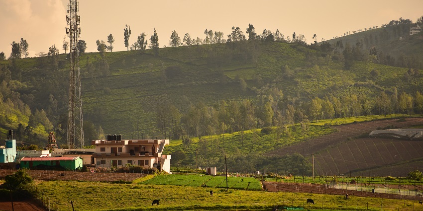 An astonishing view of sprawling lush green fields and majestic peaks in Tamil Nadu.