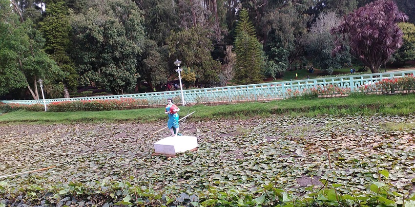 The Ooty Botanical Gardens, a famous place near the Nilgiri Biosphere Nature Park.