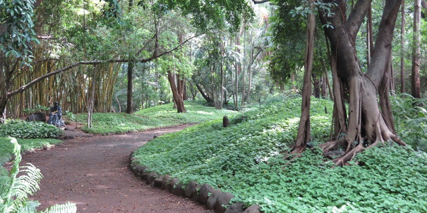 Osho Ashram is one of the top spiritual tourist attractions near Lohegaon Water Park