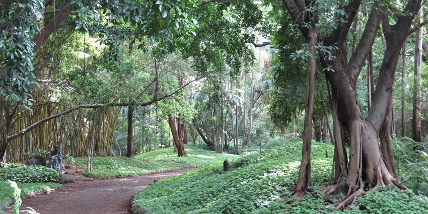 Osho Ashram is known for its tranquil meditation halls and sprawling lush gardens.