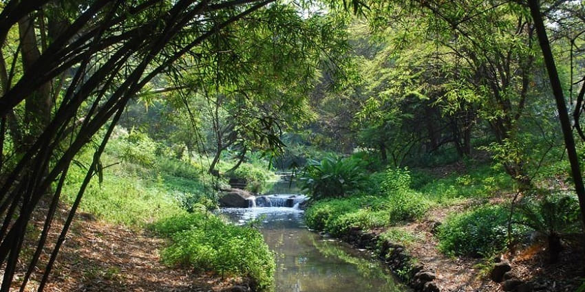 Osho Garden is a serene oasis promoting inner peace and mindfulness to travellers.