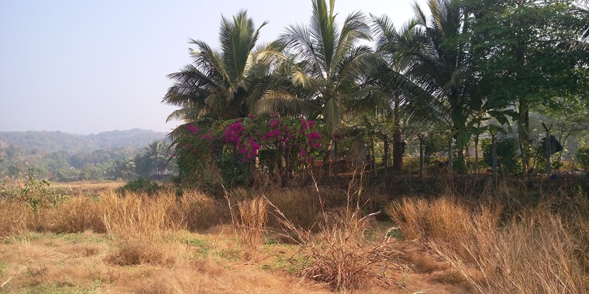 A picturesque scene at Kashid Beach, showcasing the pristine shoreline with clear blue waters