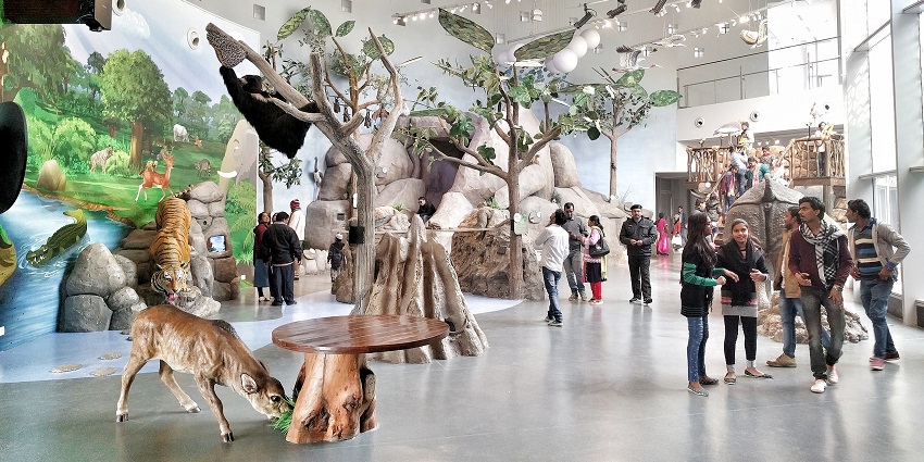 Tourist wandering inside the children and wildlife section of the Bihar museum