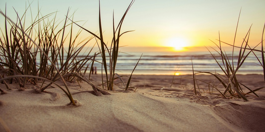 Visitors should summarise everyday budget and average cost of their trip to the island.