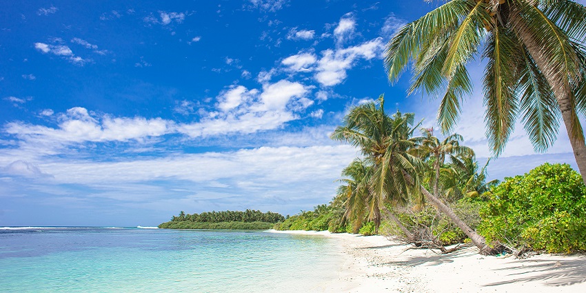 An image of travellers enjoying their time on Sulawesi Island, depicting its vibrant culture.
