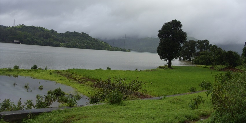A picture of a river bank with lush green surroundings, taken during rainy weather