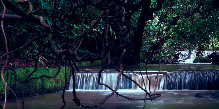 A waterfall at Bondla Wildlife Sanctuary for travellers to visit and explore.