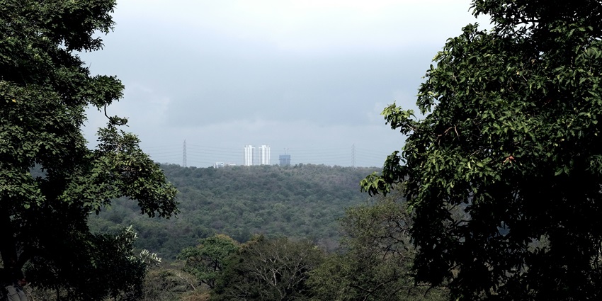 A breathtaking view of lush greenery surrounding Kanheri Caves during the daytime.