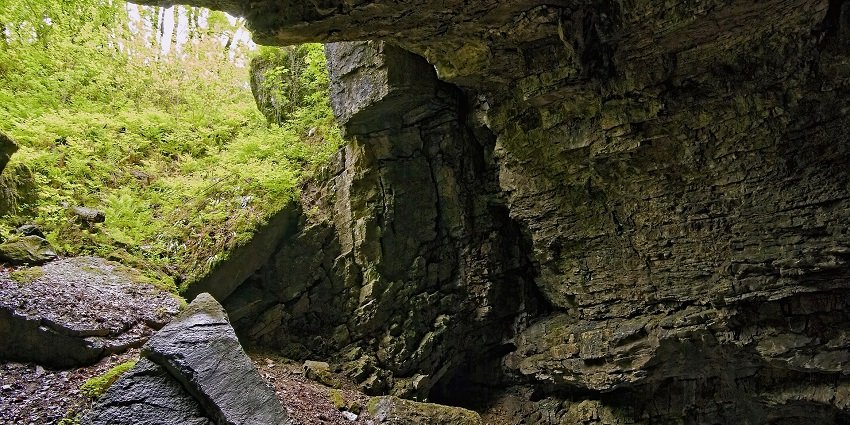 Rocky formations inside a cave surrounded by natural elements and textures.