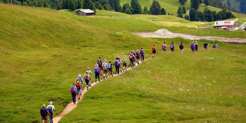 A scenic view of a hiking trail winding through mountainous terrain under blue skies.