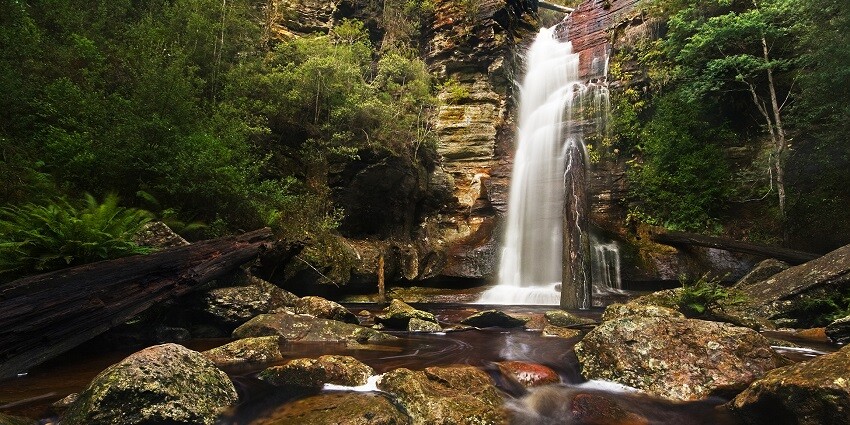 Enjoy the peaceful ambience amidst nature near Puliyancholai Waterfalls in Tamil Nadu