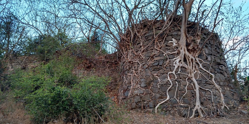 Dronagiri Mountain view from the base, showcasing rugged terrain and greenery.