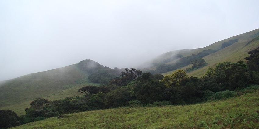 A view of dense green hills with scattered trees at Brahmagiri Wildlife Sanctuary under a cloudy sky