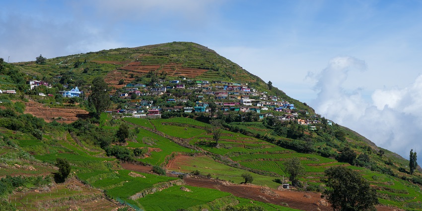 Charming view of Alagarmalai Nilgiris, with several lush green plantations in Tamil Nadu.