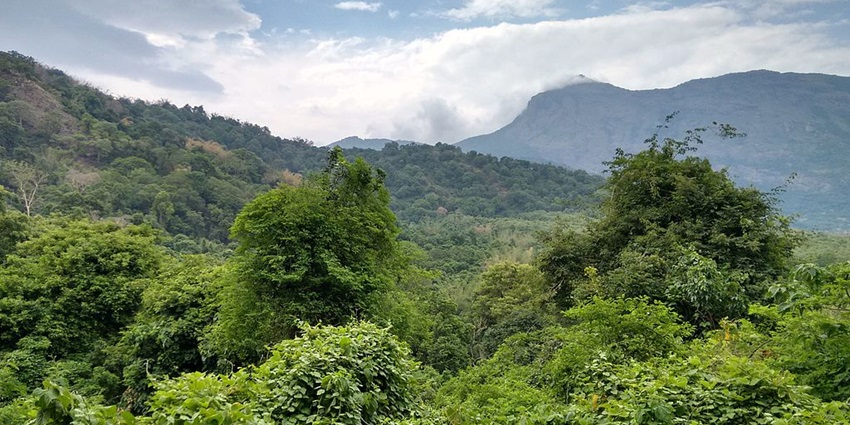 The picturesque breathtaking view of the Coimbatore city.