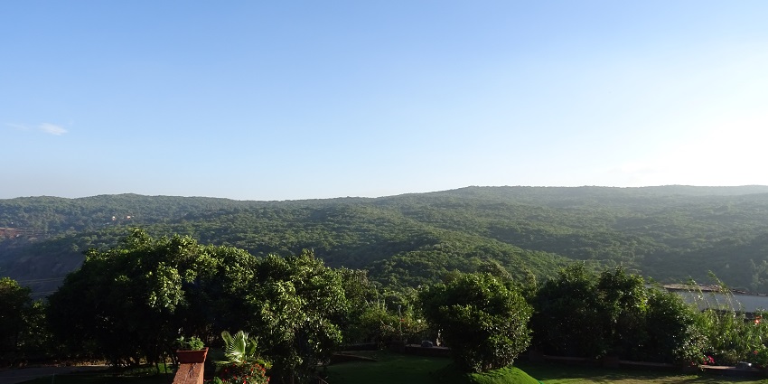 Scenic view of dense forests near Mahabaleshwar, Maharashtra, India, in 2015