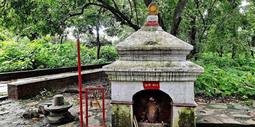 Image of Grishneshwar Mandir and its stunning architecture surrounded by lush greenery