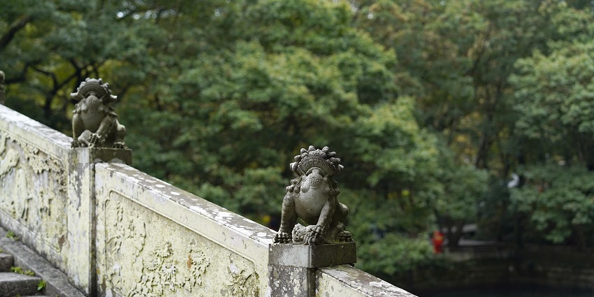 The beautiful carvings on the wall of a famous temple.